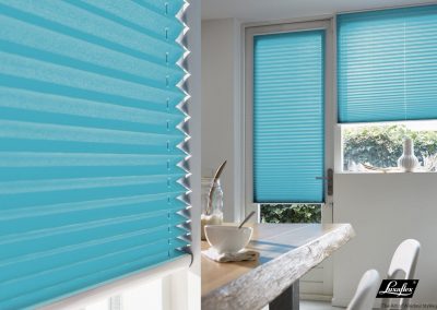 Pleated blinds / canvas